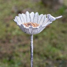 a bird is perched on top of a flower