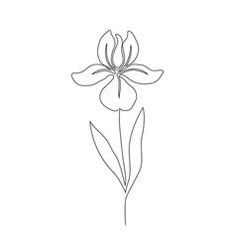 a single line drawing of a flower on a white background