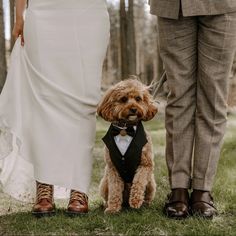 a dog wearing a tuxedo standing next to a bride and groom