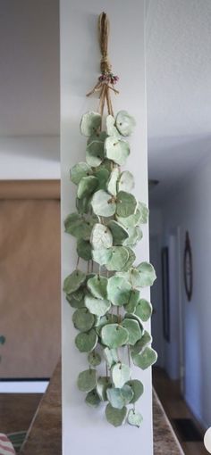 a plant hanging from the side of a white pillar with green leaves on it's sides