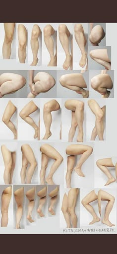 an image of different types of legs and feet in various positions, all showing the same size