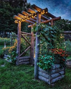 an outdoor garden with plants and lights on the arbor, surrounded by greenery at night