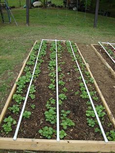 the garden is ready to be planted and put into the ground for growing tomatoes, broccoli or lettuce