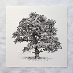 a black and white drawing of a large tree on top of a sheet of paper