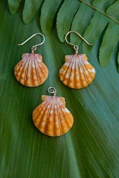 three seashells sitting on top of a green leaf