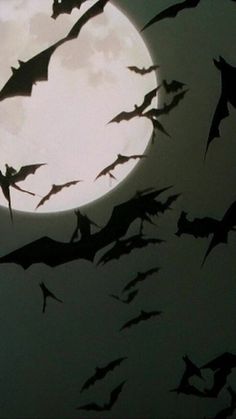 bats flying in front of a full moon