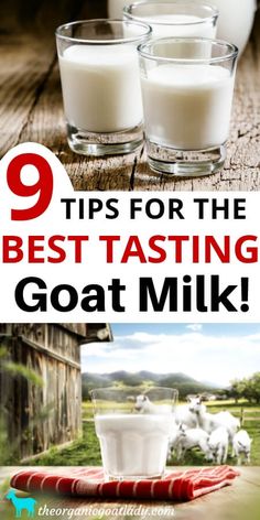 three glasses of goat milk with the words 9 tips for the best tasting goat milk