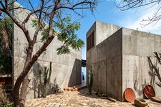 an exterior view of a concrete house with cactus trees