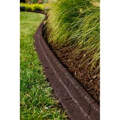 the side of a garden with grass and mulch