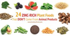 Foods Rich In Calcium, Foods Rich In Iron, Vitamin C Foods, Zinc Rich Foods, Plant Eater, Zinc Deficiency, Calcium Rich Foods, Foods High In Iron, Iron Rich Foods