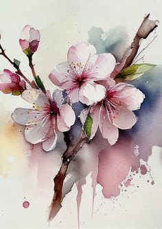 a watercolor painting of pink flowers on a branch