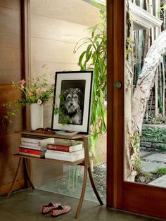 an image of a dog in a frame on a table next to a glass door