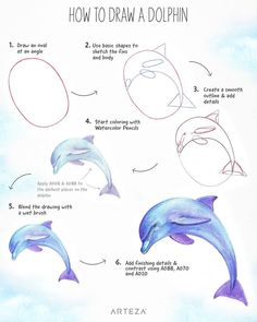 how to draw a dolphin step by step drawing instructions for kids and adults with pictures