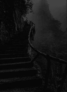 stairs leading up to the top of a mountain in the foggy weather, with trees and bushes on either side