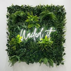 Wailed it Neon Sign Plants And Neon Lights, Business Signs Outdoor Signage, Neon Signage, Ambiguous Quotes, Led Decoration, Neon Box, Commercial Signs, Business Signage, Event Exhibition