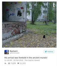 a black cat sitting on the ground in front of a brick wall with graffiti written on it