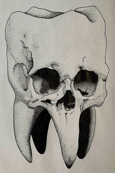 a black and white drawing of a human skull