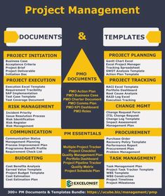 the project management process is shown in yellow and blue