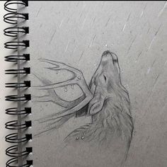 a drawing of a wolf in the rain