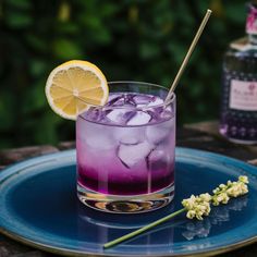 Discover the Violet Gin Fizz, a refreshing and elegant cocktail that blends gin, violet liqueur, lemon juice, and soda water. Perfect for summer parties and brunches, this drink dazzles with its vibrant color and delightful floral notes.    https://deluxerecipe.com/recipe/violet-gin-fizz-recipe/?feed_id=447&_unique_id=6675dbe0d0a26  #Food #InstaFood #FoodPorn #Foodie #FoodPhotography #Yummy #Delicious #Foodstagram #FoodLover #FoodiesOfInstagram #Eat #FoodPics #Tasty #HealthyFood #FoodGasm Violet Cocktails, Purple Gin And Tonic, Lavender Bitters Cocktails, Gin And Lavender Cocktail, Violet Gin Cocktail, Gin Fizz Recipe, Ice Chips, Gluten Free Kids, Light Appetizers