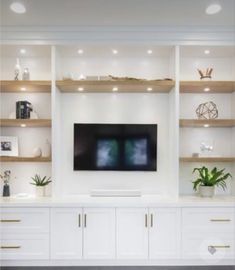 an entertainment center with built - in shelving and potted plants