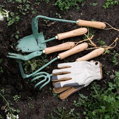 gardening utensils laying on the ground next to some plants