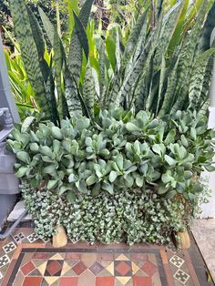 a planter filled with lots of green plants