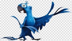 a blue bird with its wings spread out and it's eyes wide open, looking like