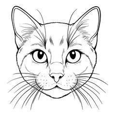 a black and white drawing of a cat's face