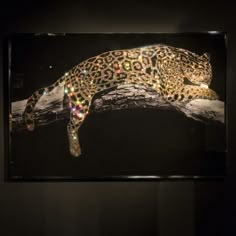 a large leopard laying on top of a tree branch covered in colorful lights and beads