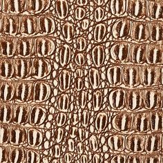 the texture of an alligator skin pattern in brown and white colors stock photo - 13879