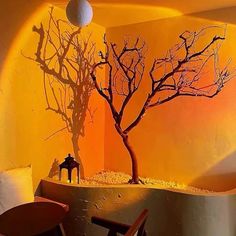 a tree casts a shadow on the wall next to a chair and table in a room with yellow walls