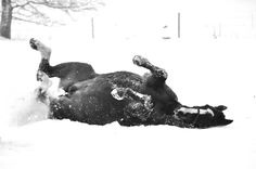 a black and white photo of a person laying in the snow