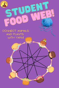 Student interactive food web activity with yarn