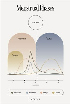 Seed Cycling, Bold Minimalism, Skin Facts, Healthy Hormones, Beauty In Nature, Brand Character, Data Design, Feminine Health, True Value