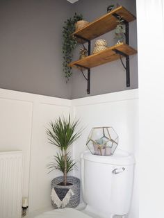 a white toilet sitting next to a wooden shelf filled with potted plants on top of it