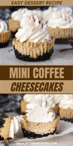 mini coffee cheesecakes with whipped cream on top and chocolate crust in the middle