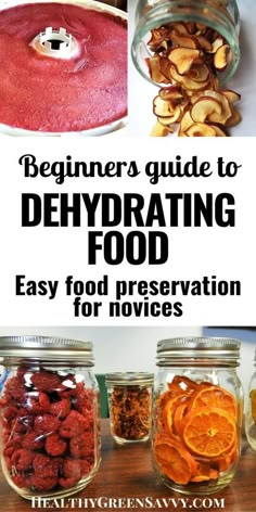 the beginner's guide to dehydrating food easy food presentation for novices