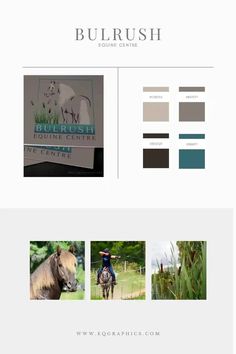 the website is designed to look like it has been created for horses and other animals