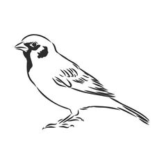 a black and white drawing of a bird