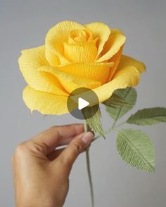 a person holding a yellow rose in their left hand with the petals still attached to it