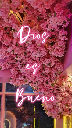 pink flowers hanging from the side of a building with neon lights above it that says, dios e'beno