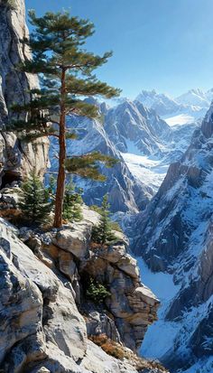 there is a tree on the top of a mountain with mountains in the back ground