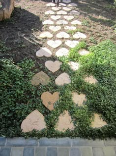 a path made out of stepping stones in the grass