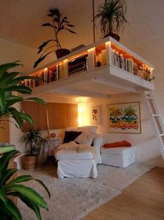 a loft bed is built into the side of a wall with bookshelves above it