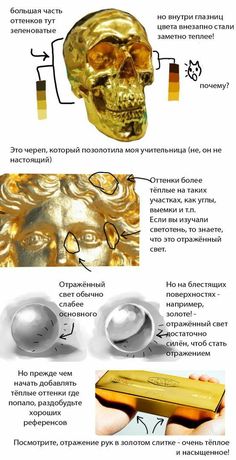 the anatomy of a human skull and its parts in gold, white and black colors