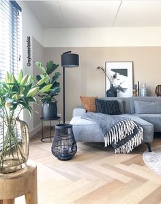 a living room filled with lots of furniture and plants on top of hard wood flooring