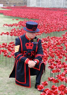 a man sitting on the ground in front of rows of red flowers