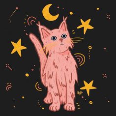 a drawing of a pink cat with stars around it