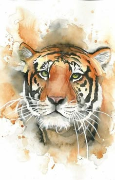 a watercolor painting of a tiger's face